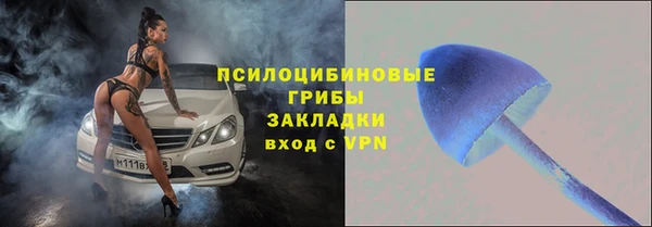 круглые Алексеевка