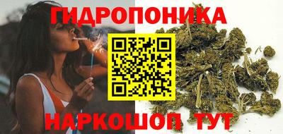 меф Краснознаменск