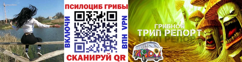 Галлюциногенные грибы MAGIC MUSHROOMS где продают мега маркетплейс Татарск
