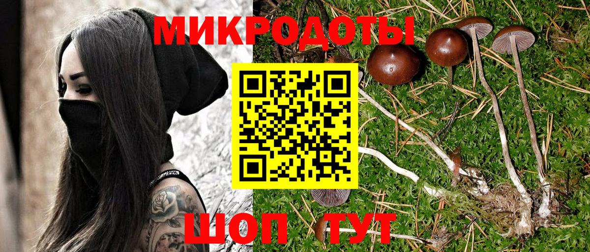 Псилоцибиновые грибы мицелий  Вход с VPN  Татарск  Псилоцибиновые грибы MAGIC MUSHROOMS 